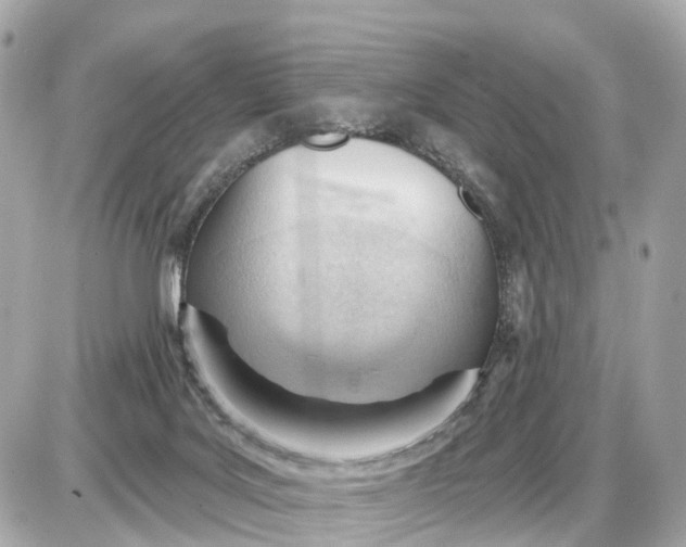 X0000087550027200705112133