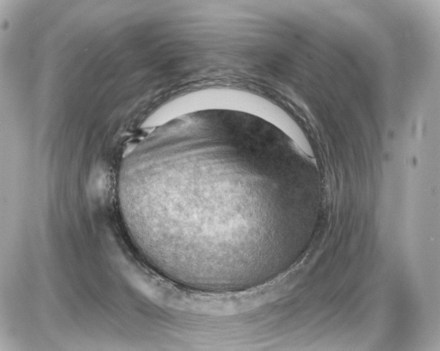 X0000087550029200705112132