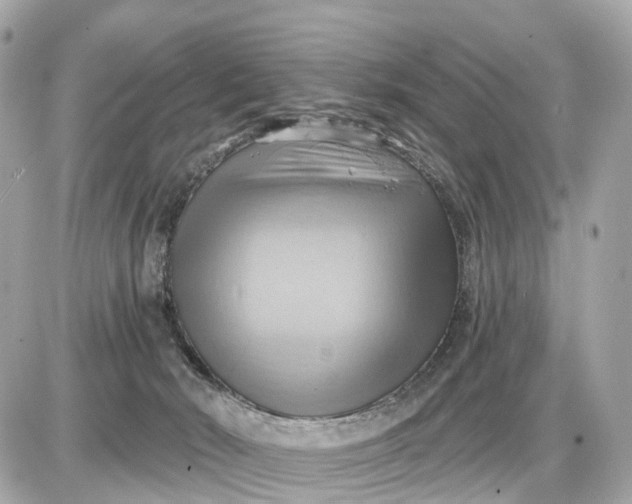 X0000087550030200705112132