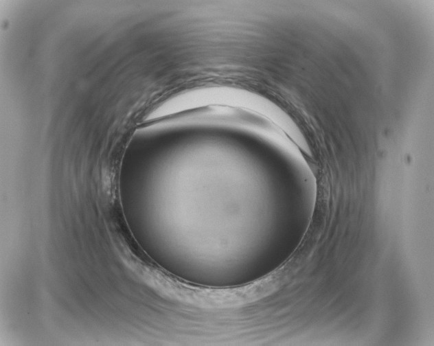 X0000087550031200705112132