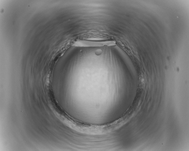 X0000087550032200705112132