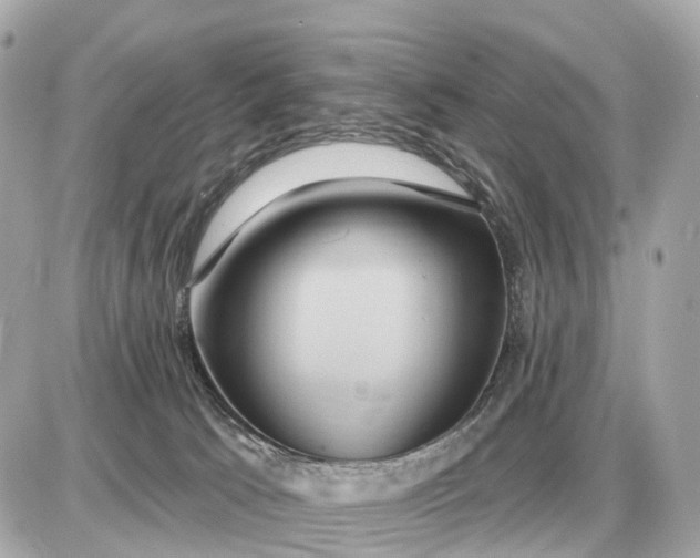 X0000087550033200705112132