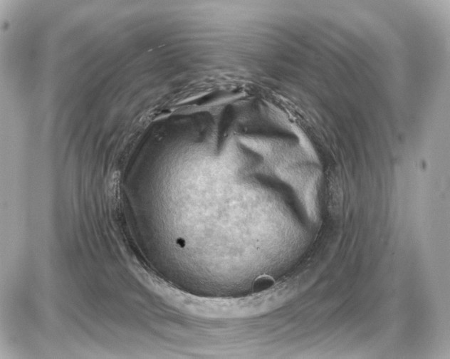 X0000087550034200705112132