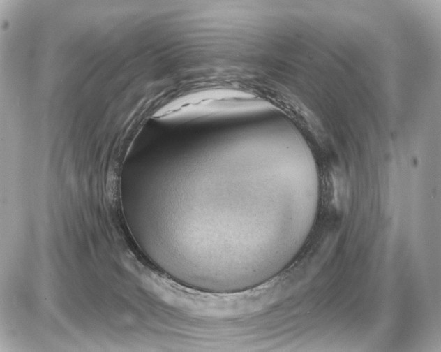 X0000087550035200705112132