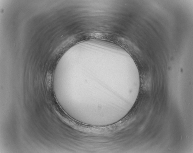 X0000087550036200705112132