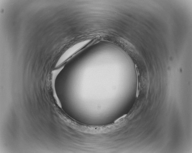 X0000087550037200705112132