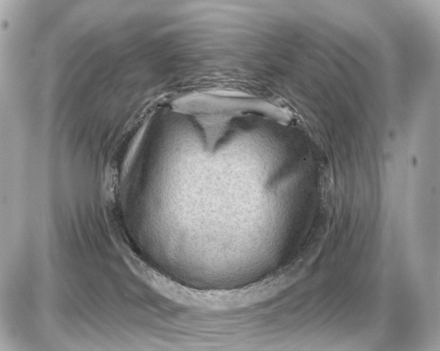 X0000087550038200705112132