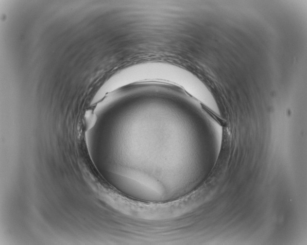 X0000087550039200705112132