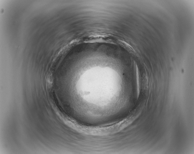 X0000087550040200705112132