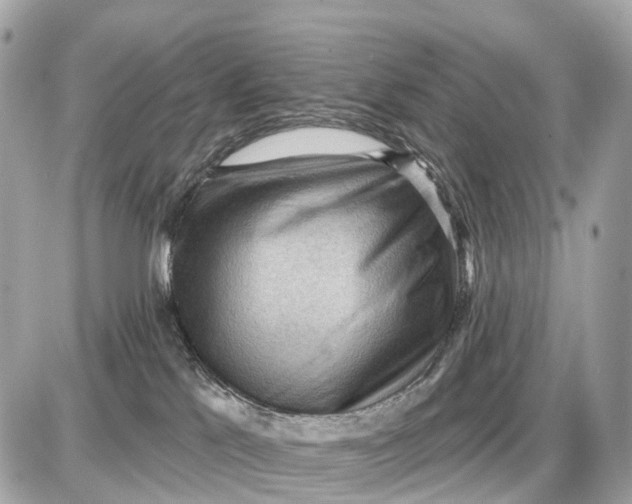 X0000087550041200705112132