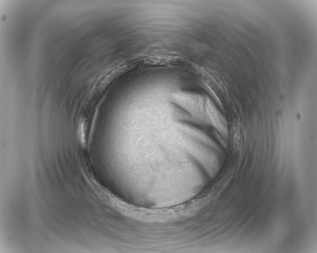 X0000087550042200705112132