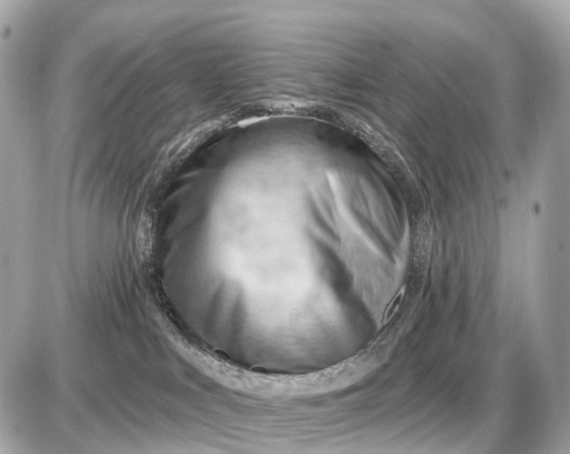 X0000087550043200705112132