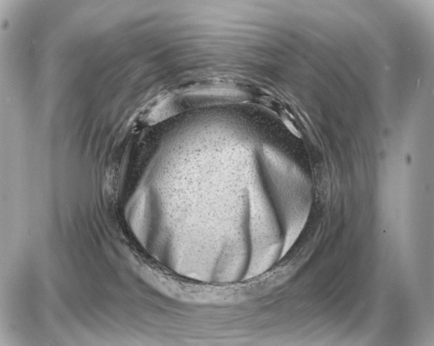 X0000087550044200705112132