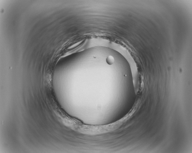 X0000087550045200705112132