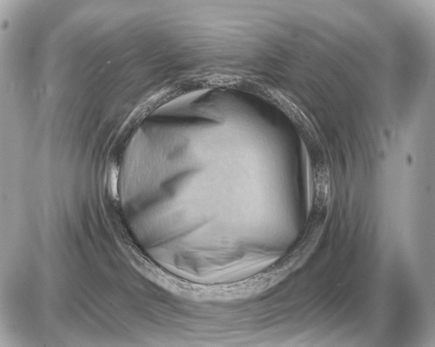 X0000087550046200705112132