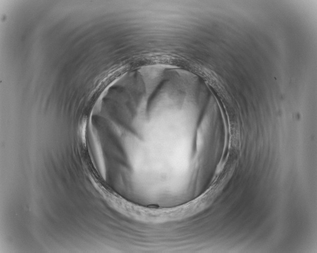 X0000087550047200705112132