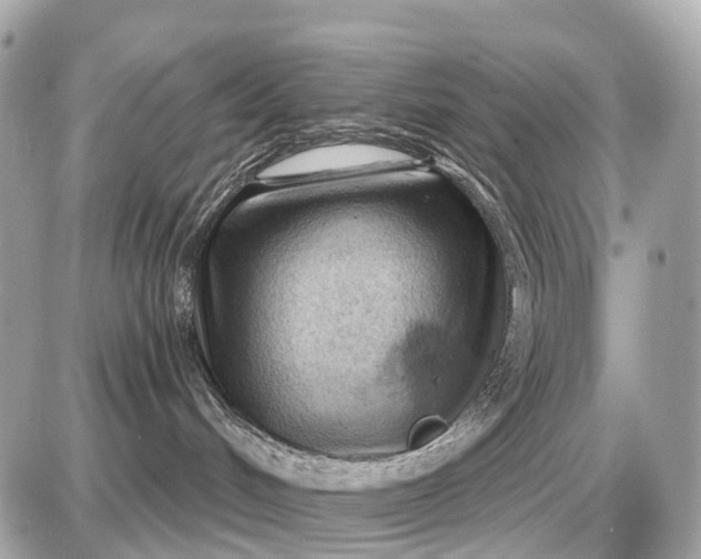 X0000087550048200705112132