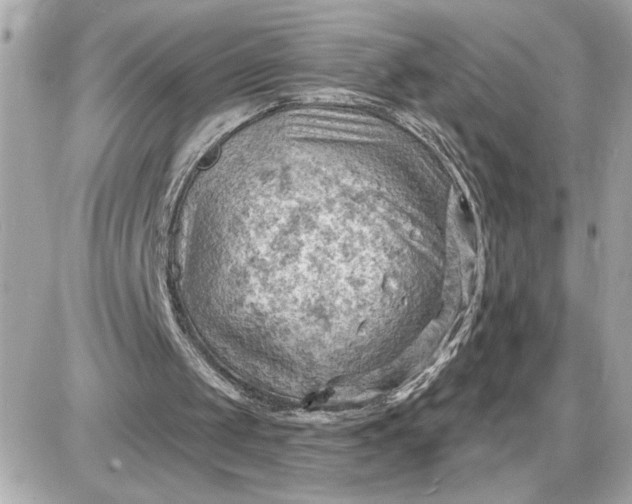 X0000087550049200705112131