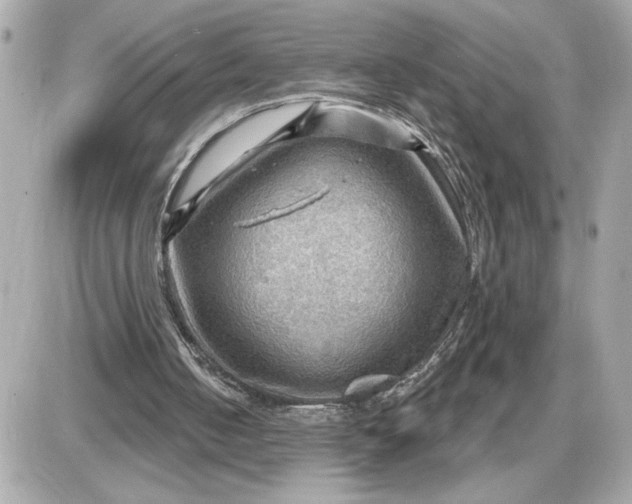 X0000087550050200705112131