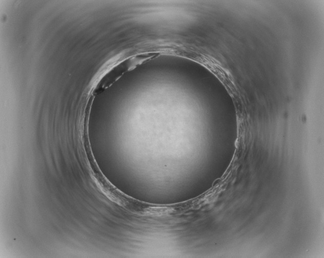 X0000087550051200705112131