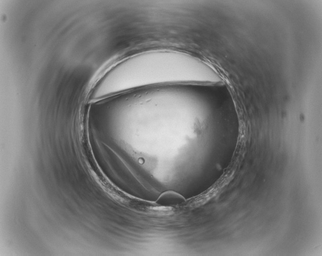 X0000087550053200705112131