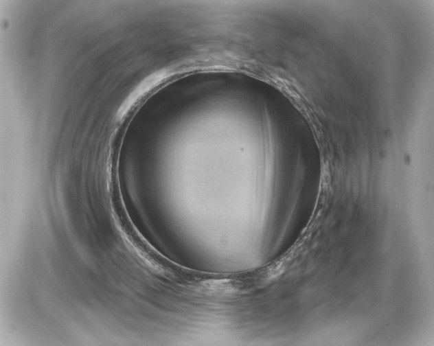 X0000087550054200705112131