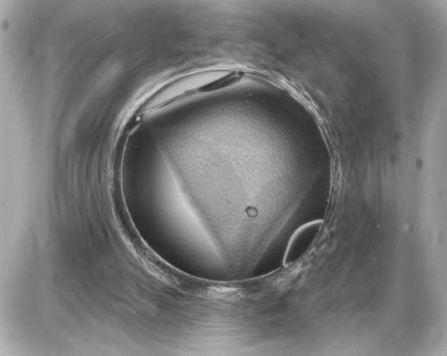 X0000087550055200705112131