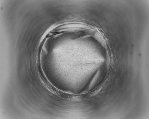 X0000087550056200705112131