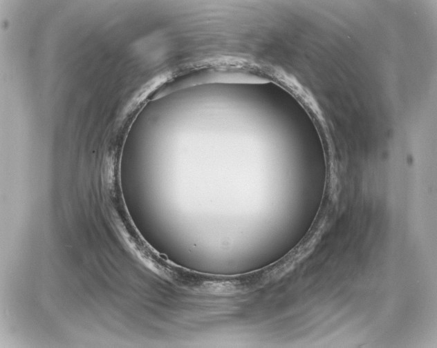 X0000087550057200705112132