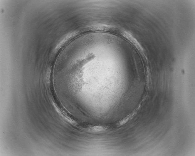 X0000087550058200705112132