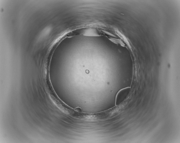 X0000087550059200705112132