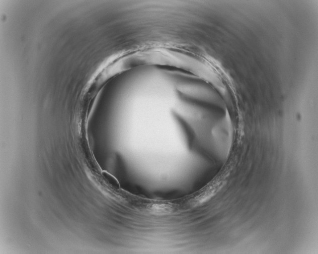 X0000087550060200705112132