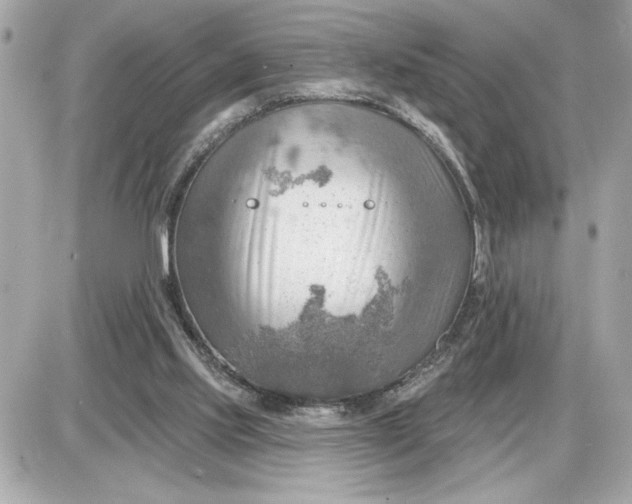 X0000087550061200705112132