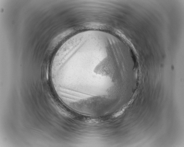 X0000087550062200705112132