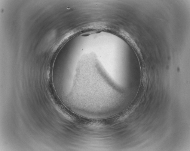 X0000087550063200705112132