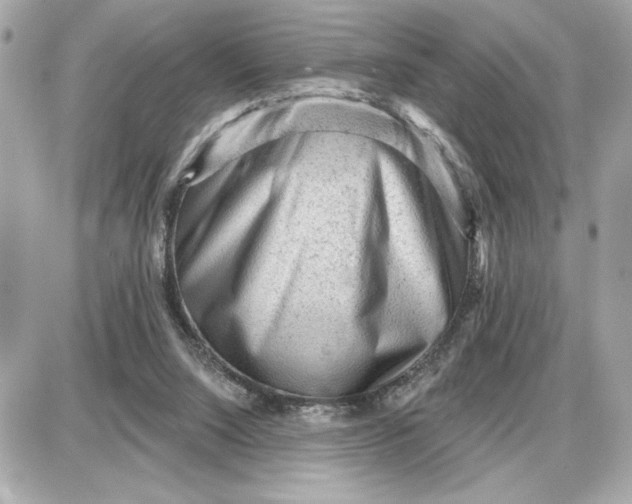 X0000087550064200705112132