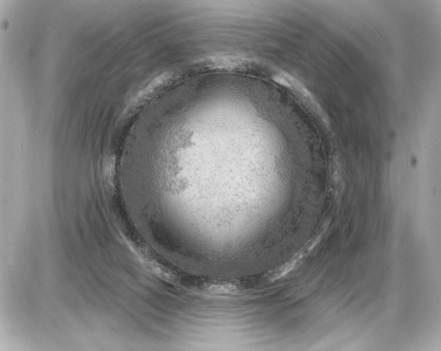 X0000087550066200705112132