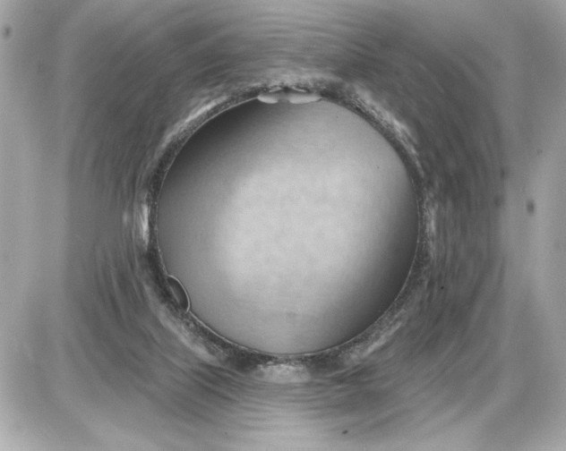 X0000087550067200705112132