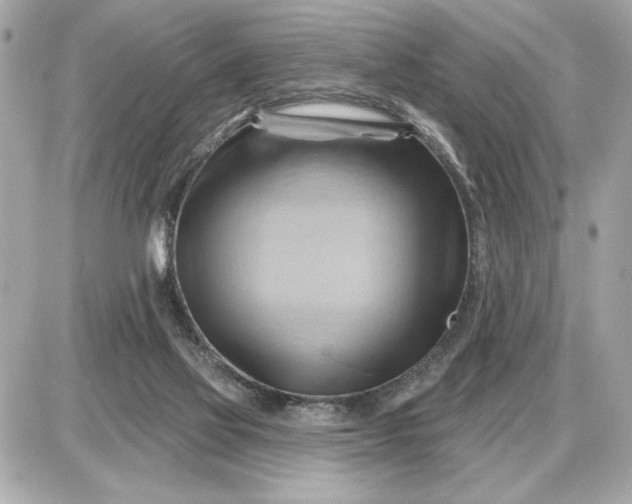 X0000087550069200705112132