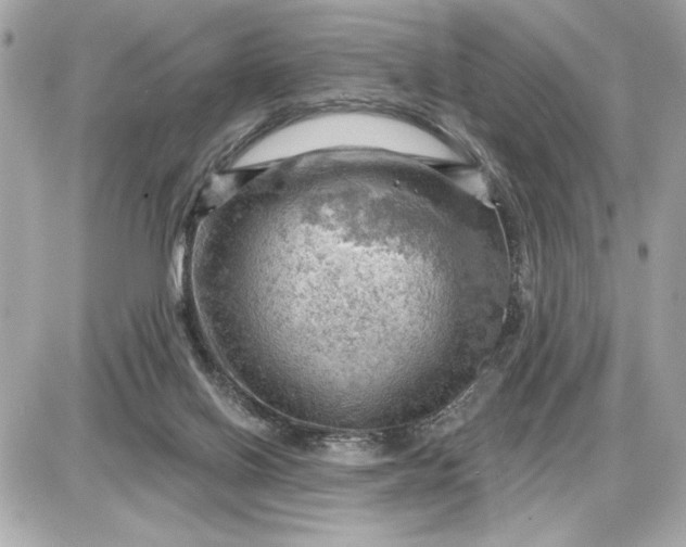 X0000087550070200705112132