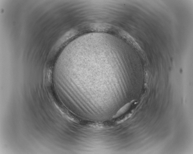 X0000087550071200705112132