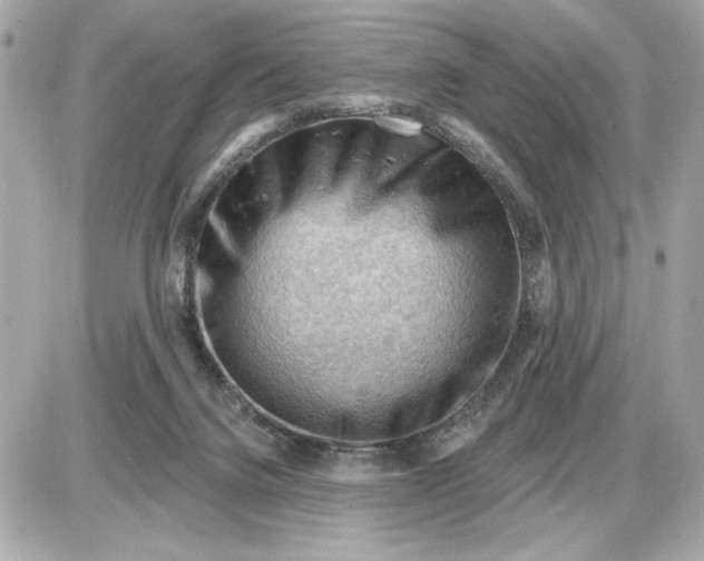 X0000087550072200705112132