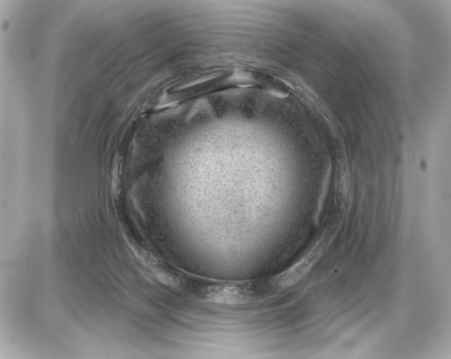 X0000087550074200705112132