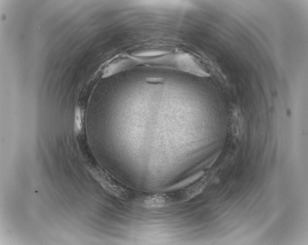 X0000087550075200705112132