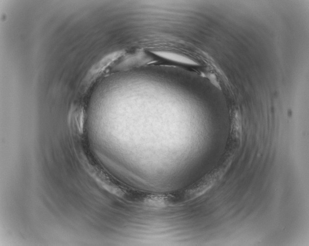 X0000087550076200705112132