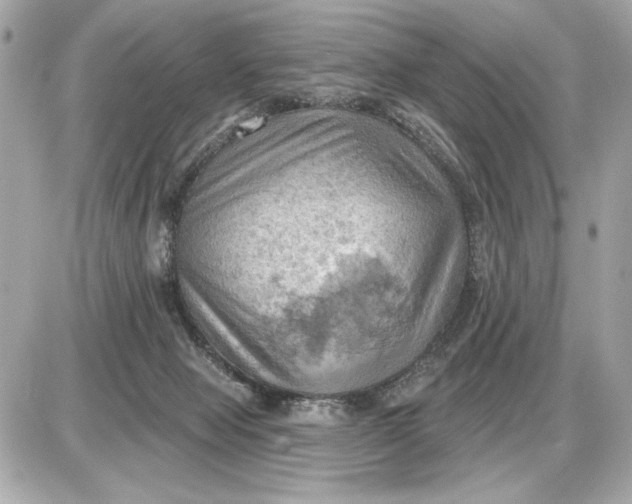 X0000087550077200705112132