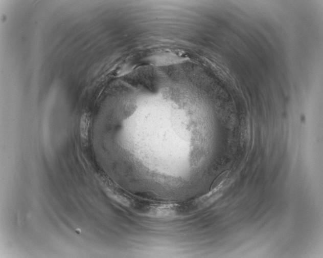 X0000087550078200705112132