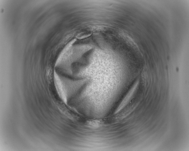 X0000087550079200705112132