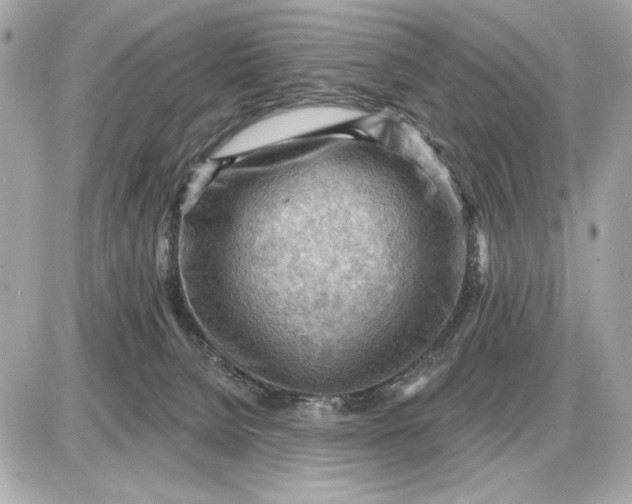 X0000087550080200705112132