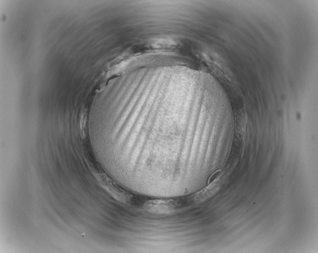 X0000087550082200705112132